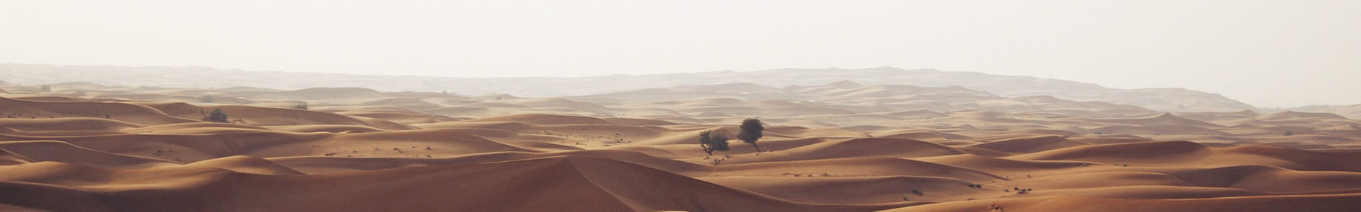 ڷỷ޹˾